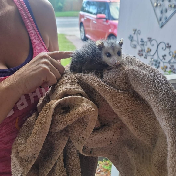 Meet your Posher, Bryn - Picture 10 of 17